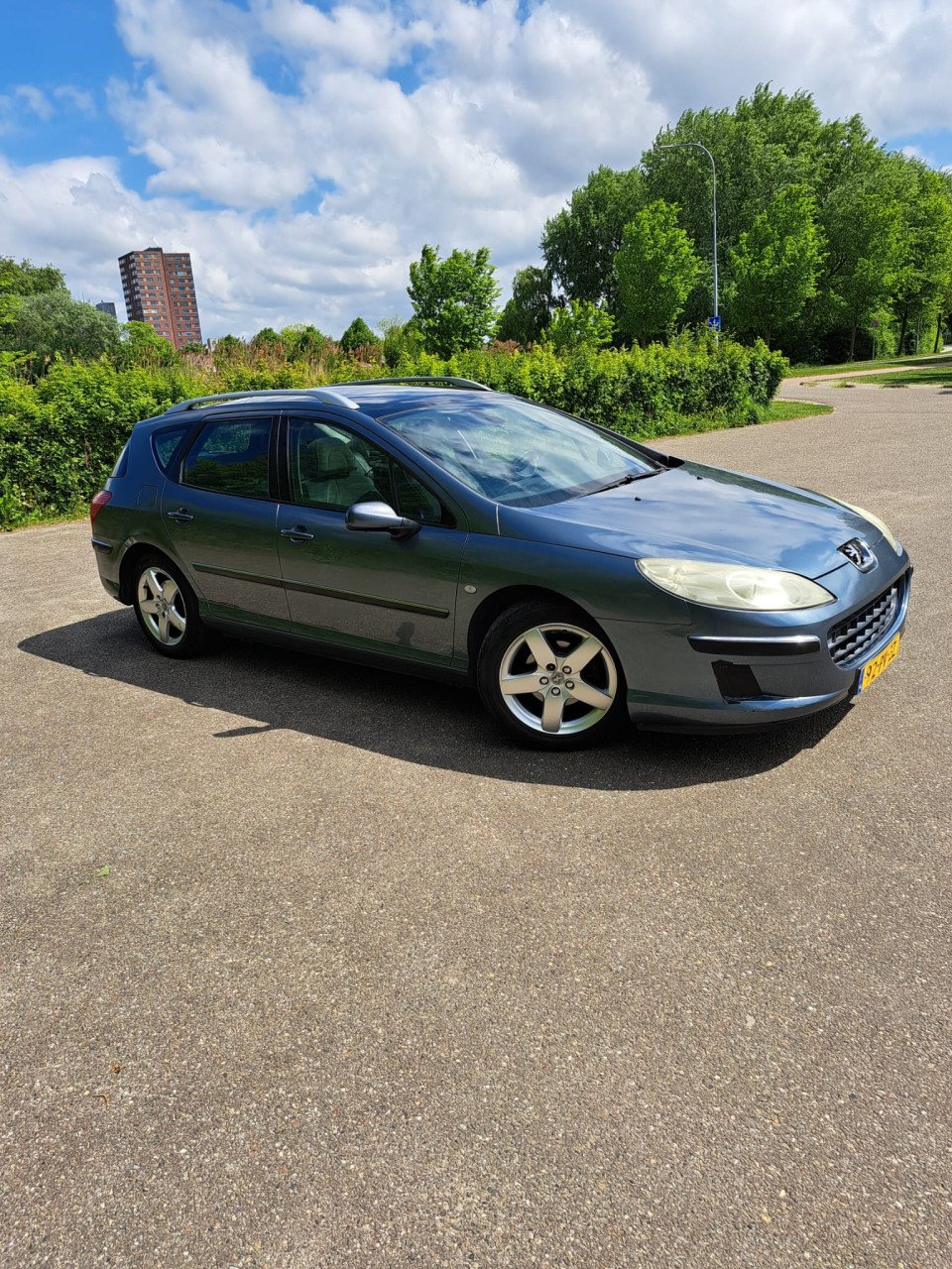 Peugeot 407 SW