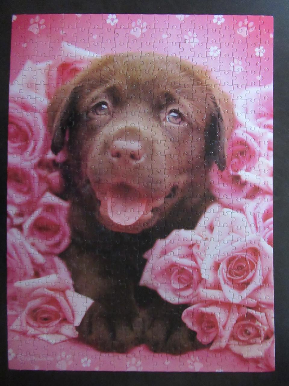 Leuke volledige puzzel van 500 stukjes.