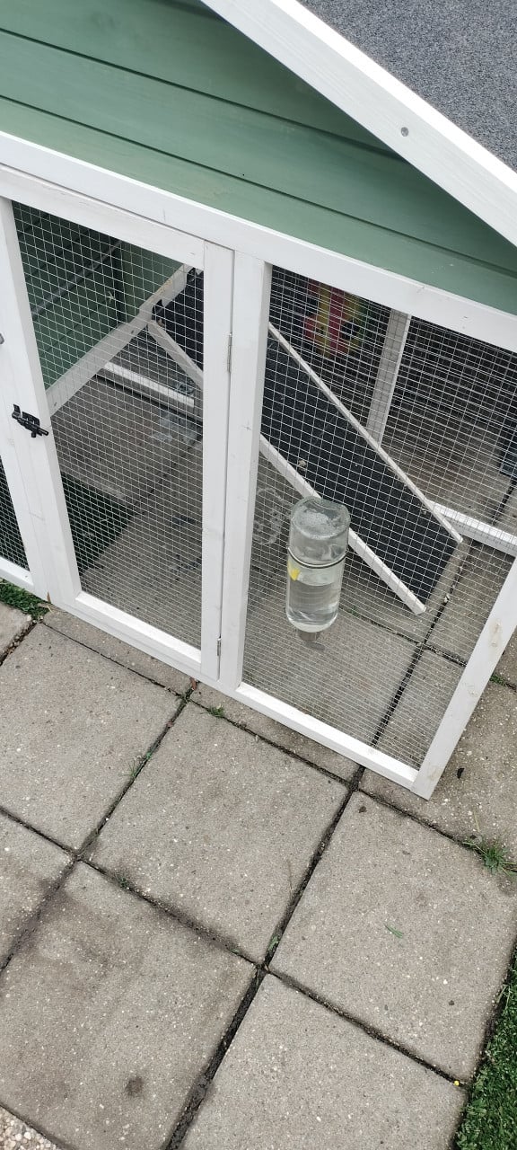Konijnen/kippenhok zgan + toebehoren