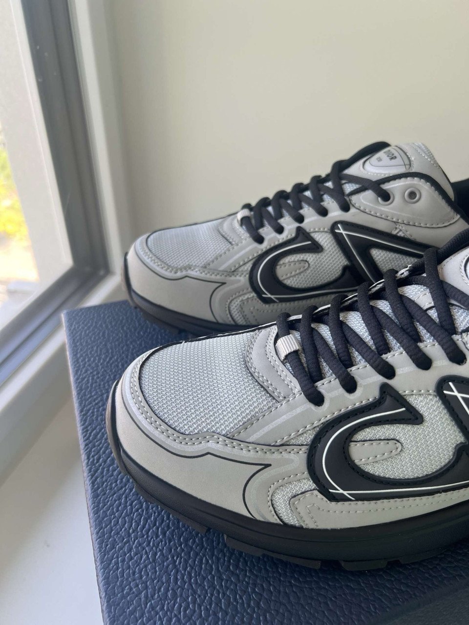 Dior B30