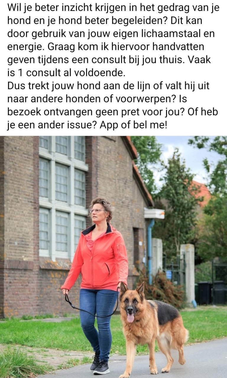 Hondengedragsdeskundige