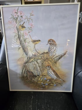Ingelijste print van Rouane Manning : Vogels 40x50cm