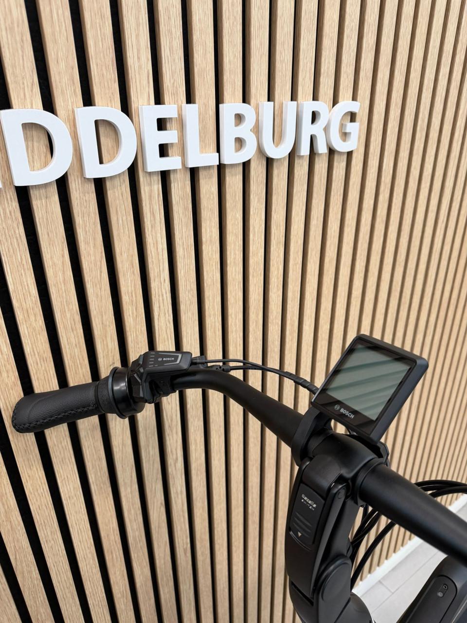 Gazelle Avignon C380 Bosch Performance Line 49CM 500Wh Belt