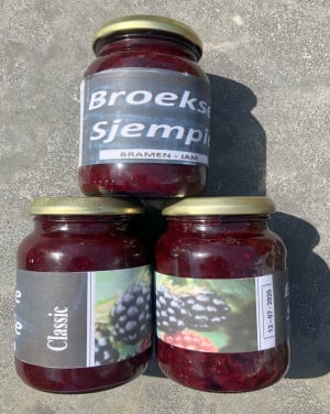 Bramenjam