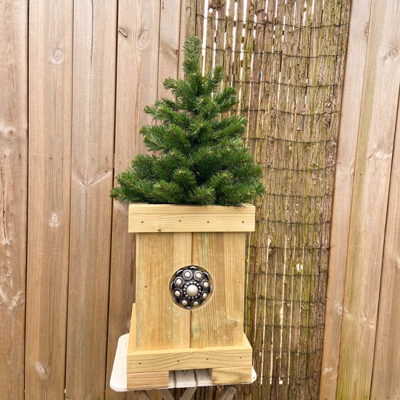Zeeuwse knop Kerstboombak