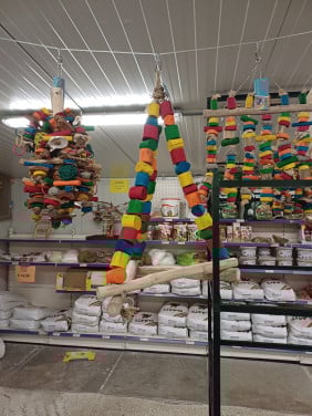 Zaterdag 21 juni 30 graden=30% korting op alle vogelspeelgoed en snacks