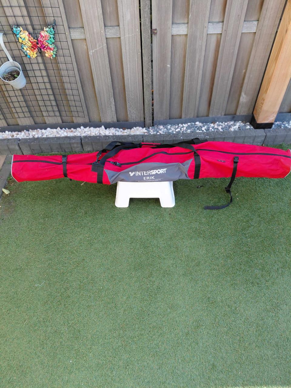 Salomon ski