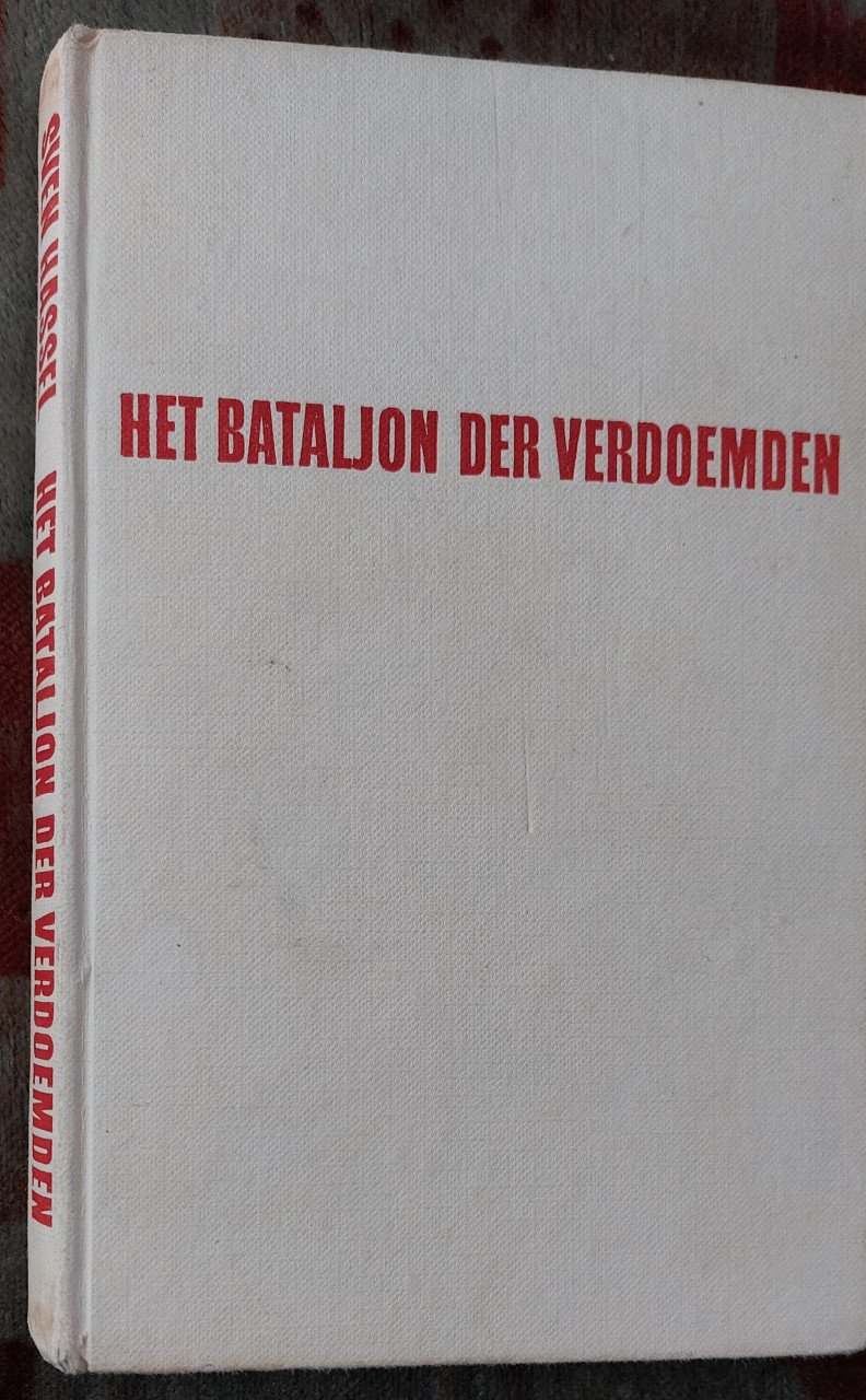 Oorlogsroman