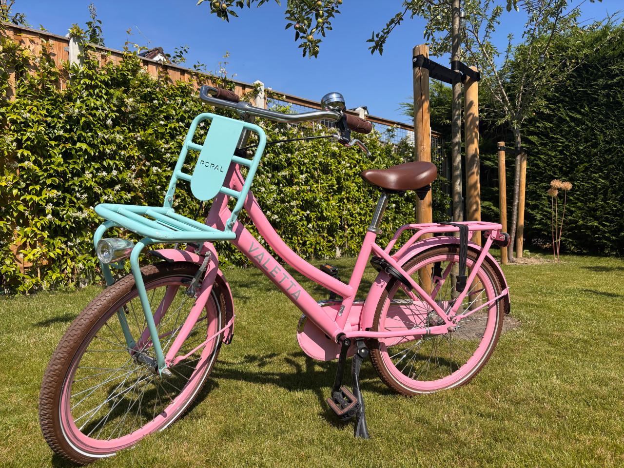 Roze Valetta kinderfiets met voordrager - 22 inch