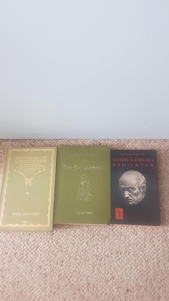 Partij poëzie boeken