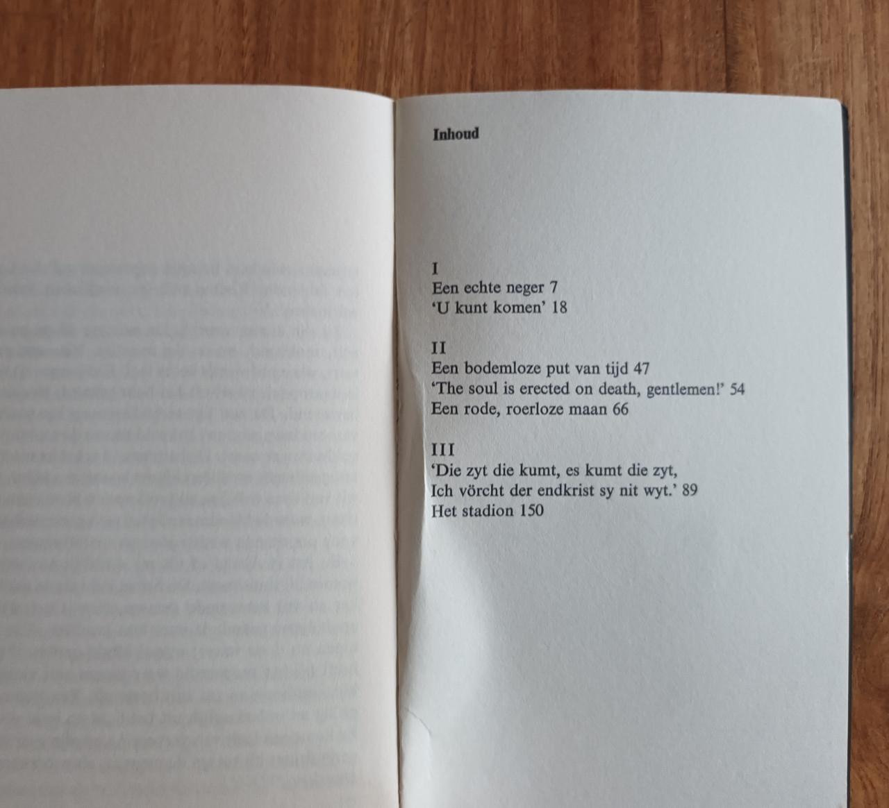 Het zwarte licht van Harry Mulisch