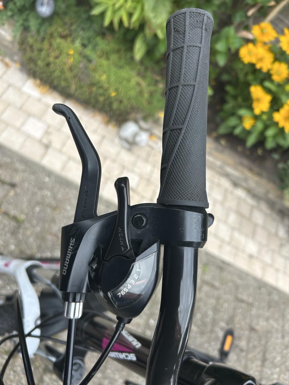 Mountainbike  Schwinn (dames) 26 inch, 21 speed, schijfremmen: zeer mooi.