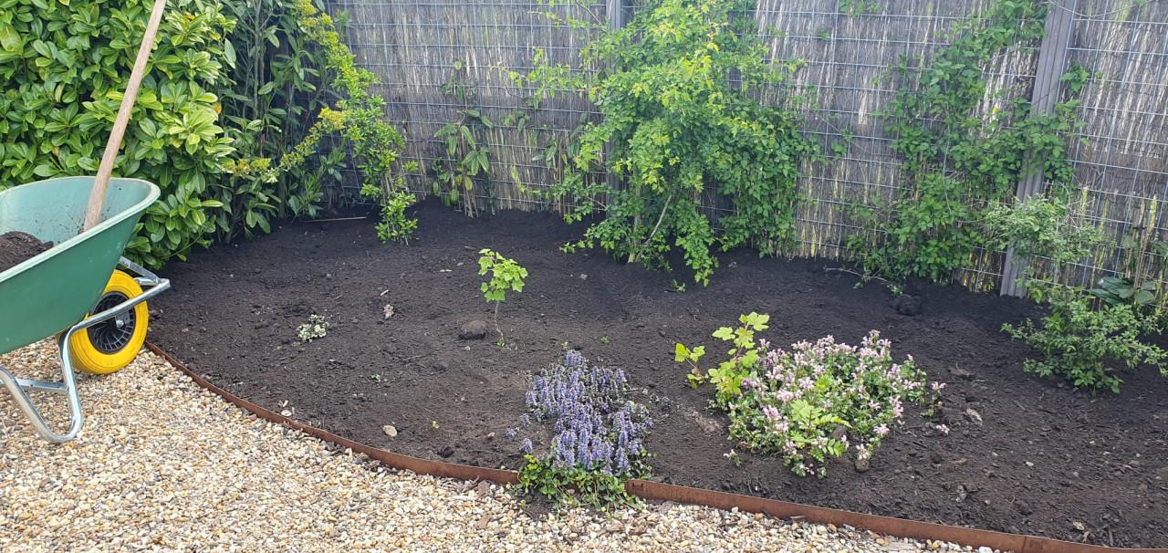 Vakbekwaam hovenier voor tuinonderhoud