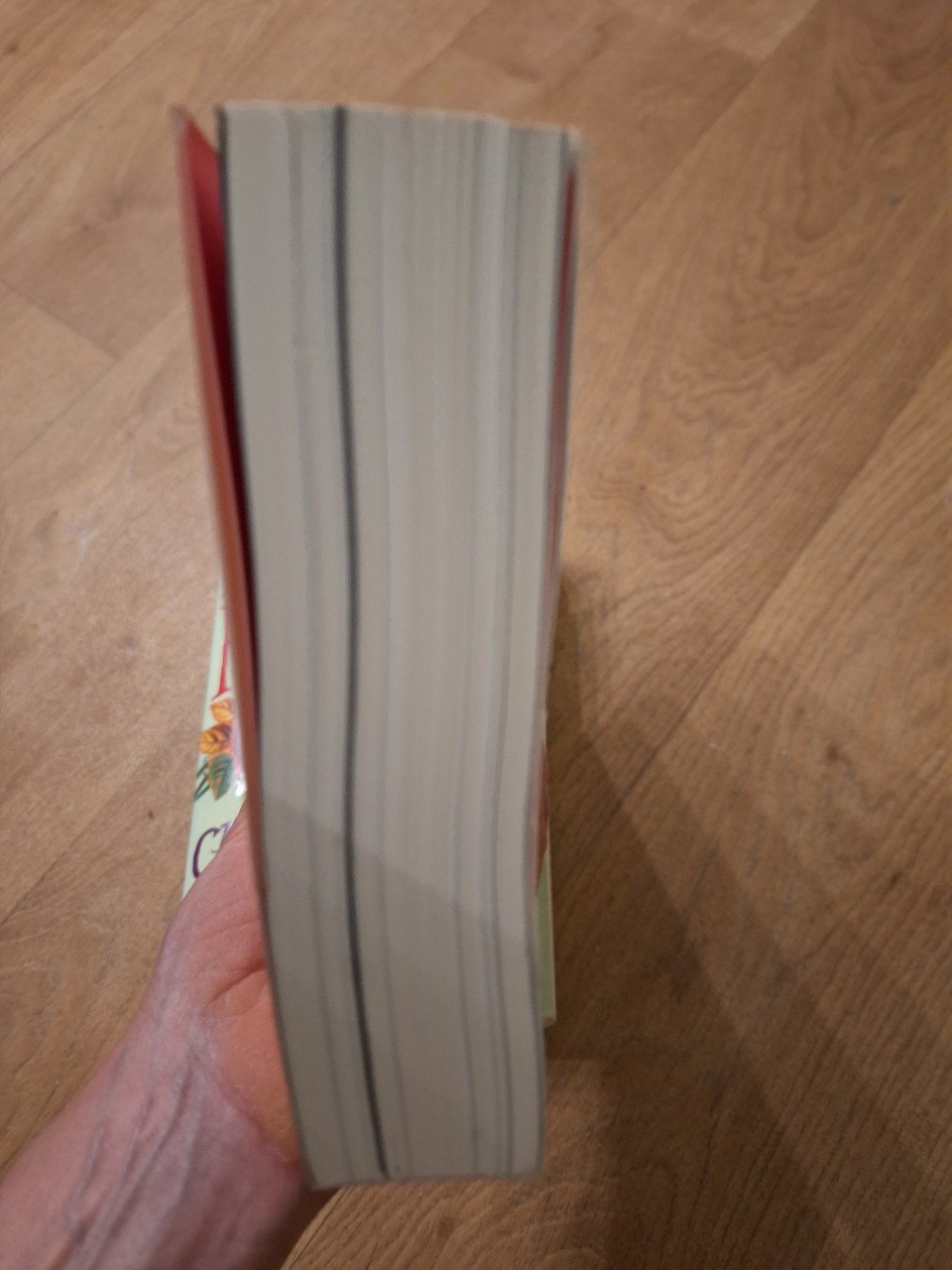 2 boeken Marischa Pessl