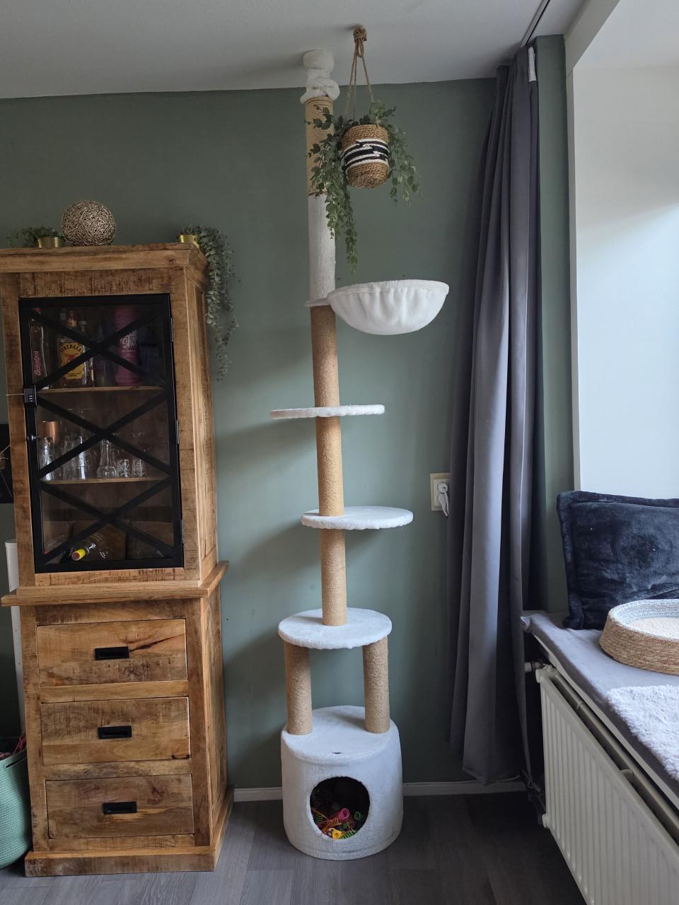 Mooie grote witte krabpaal