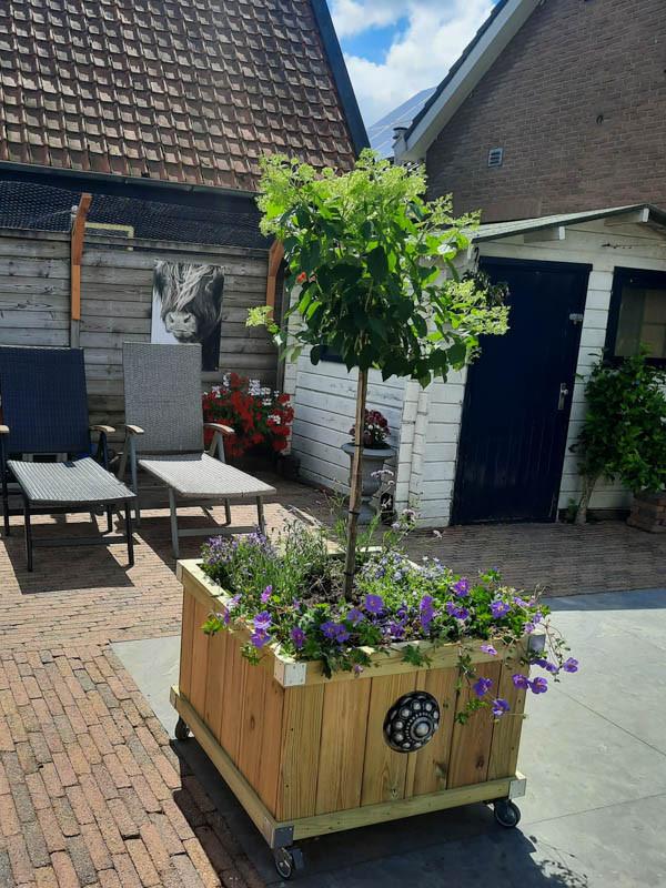 Zeeuwse knop bloembakken projecten ter inspiraties L80 x B83 x H60
