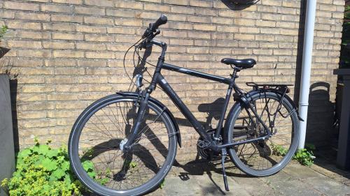 Pegasus herenfiets