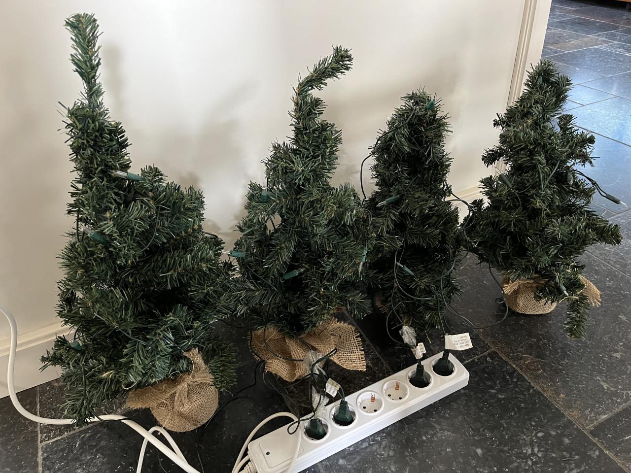 4 kerstboompjes met lampjes