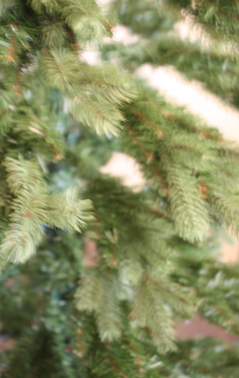 Grote mooie kerstboom triumph tree premium