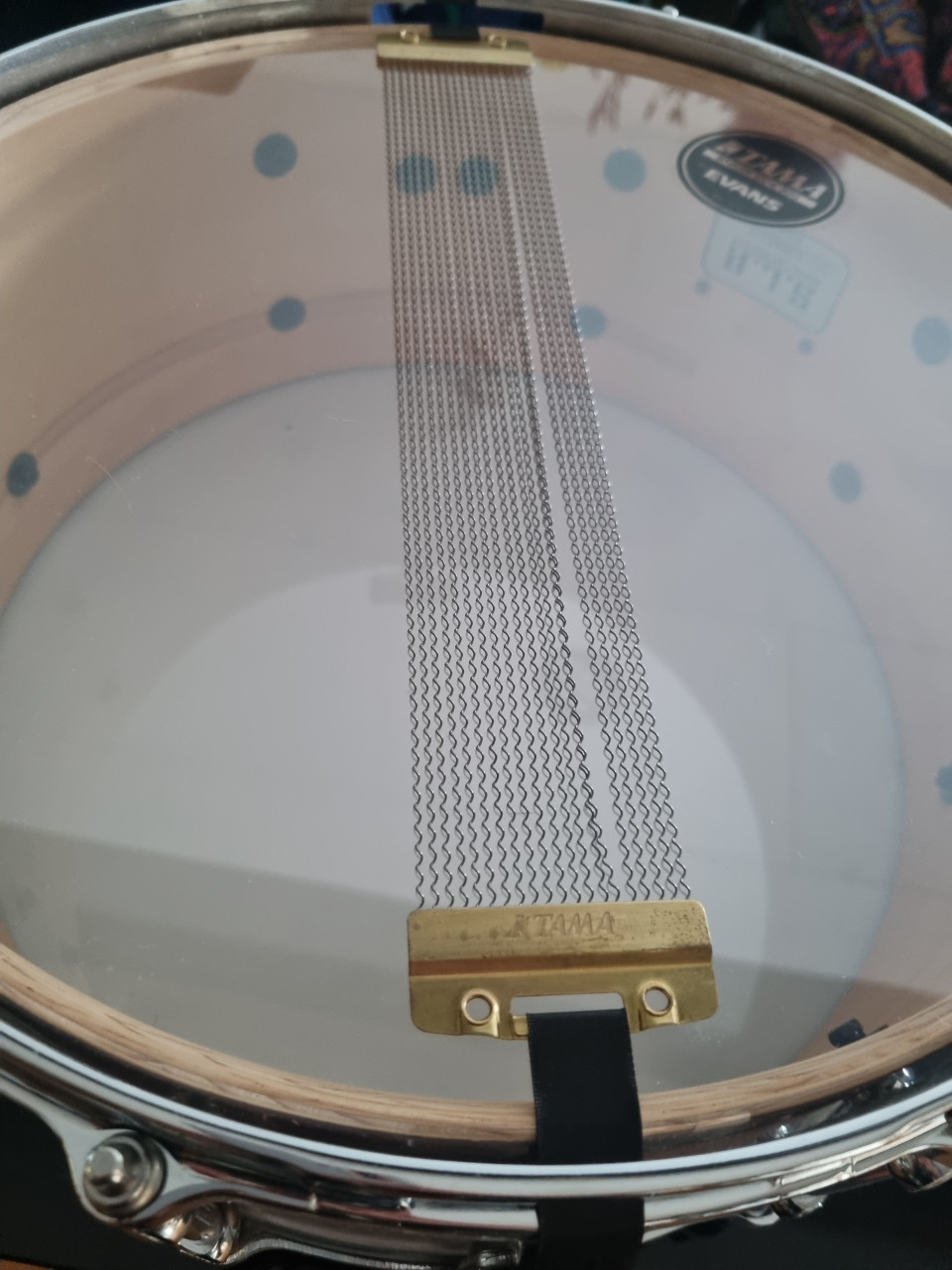 Tama lsp 146 wss fat spruce slp