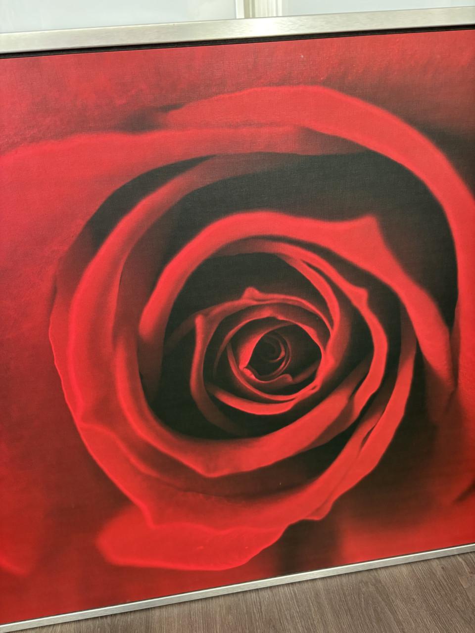 Groot schilderij roos- 140x100 cm