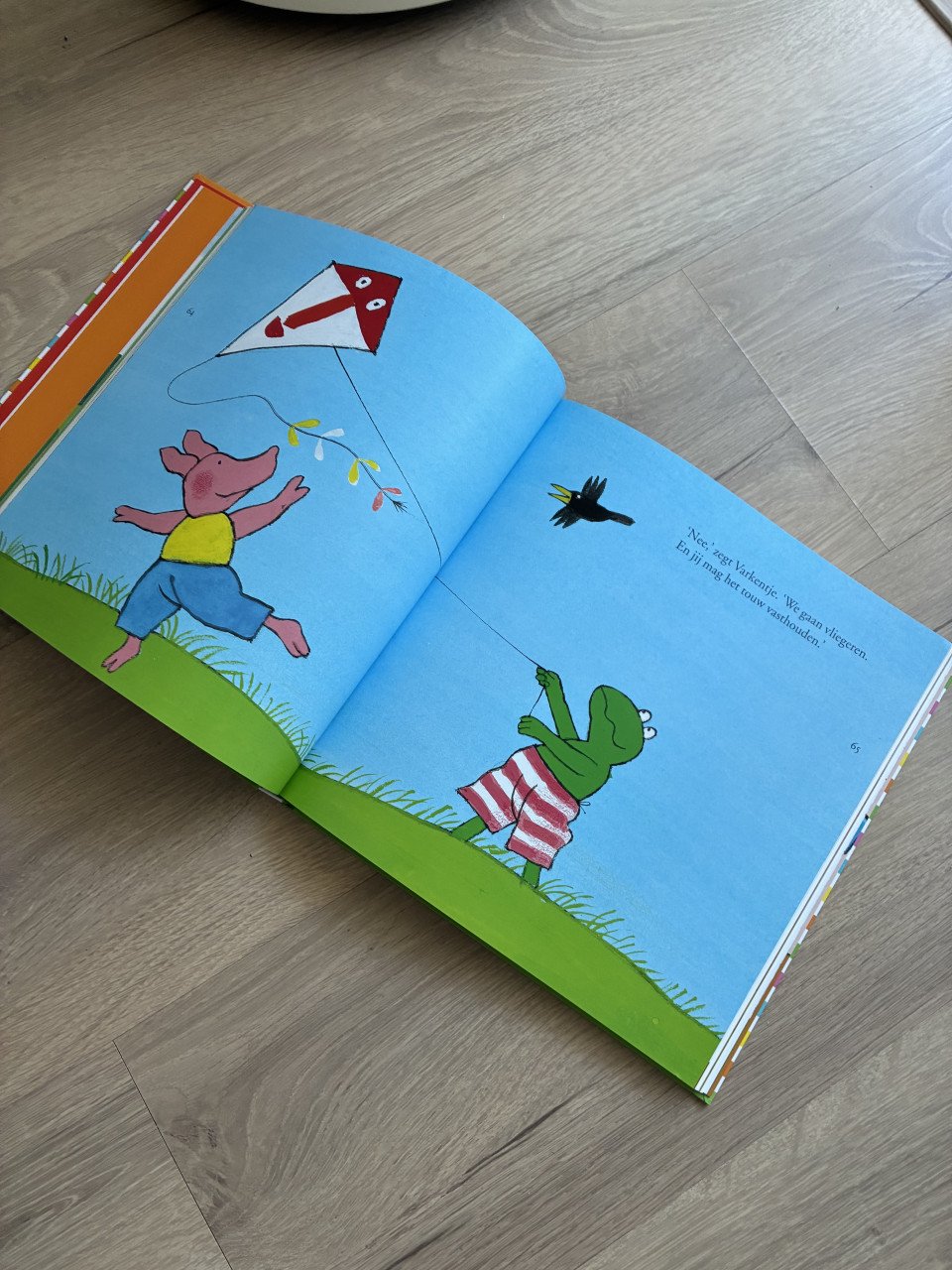 Voorleesboek kikker