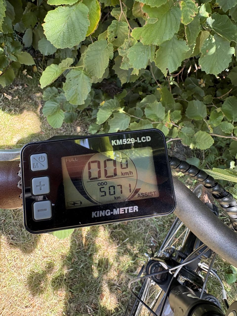 Minerva Estrel Comfort elektrische fiets – 9 Versnellingen – 5071 km