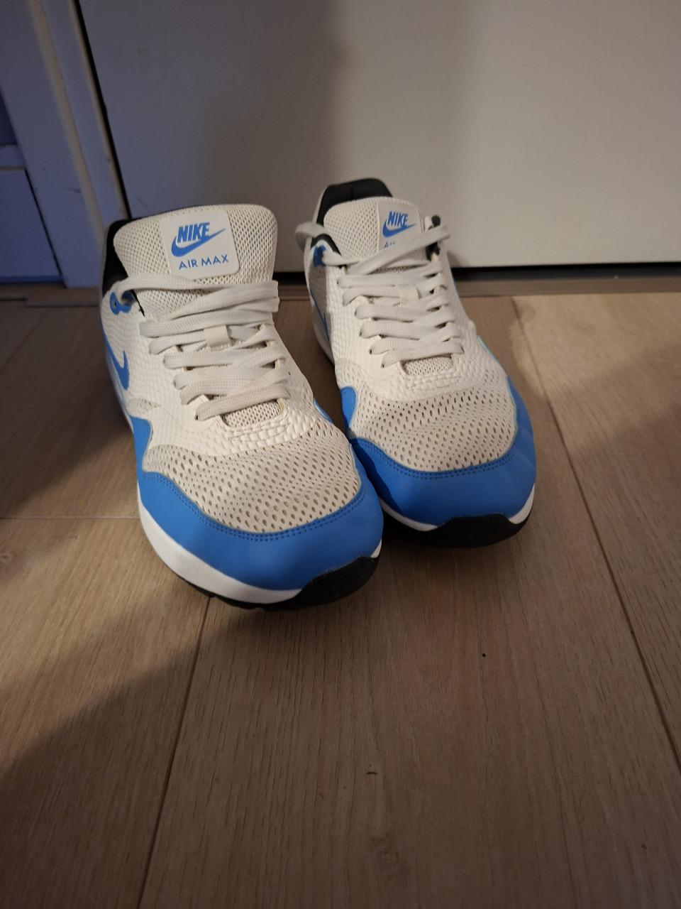Nike Air Max 1 Golf in wit en blauw