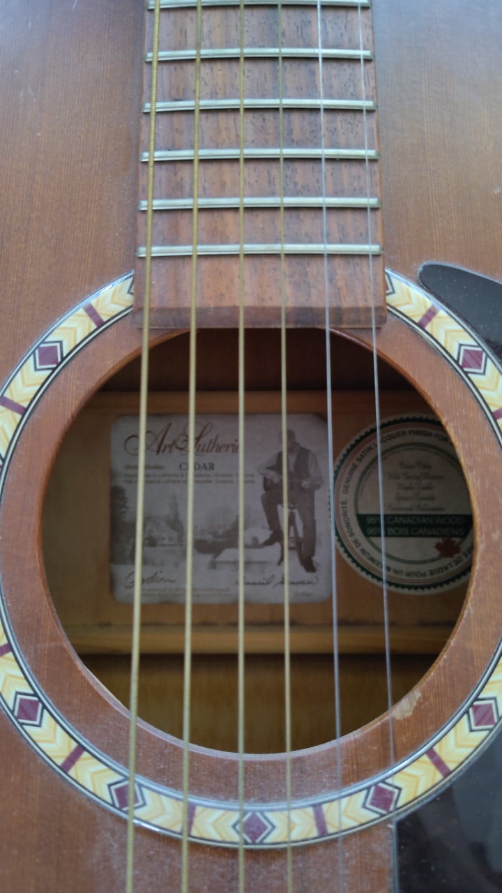 Art & Lutherie Cedar Dreadnought