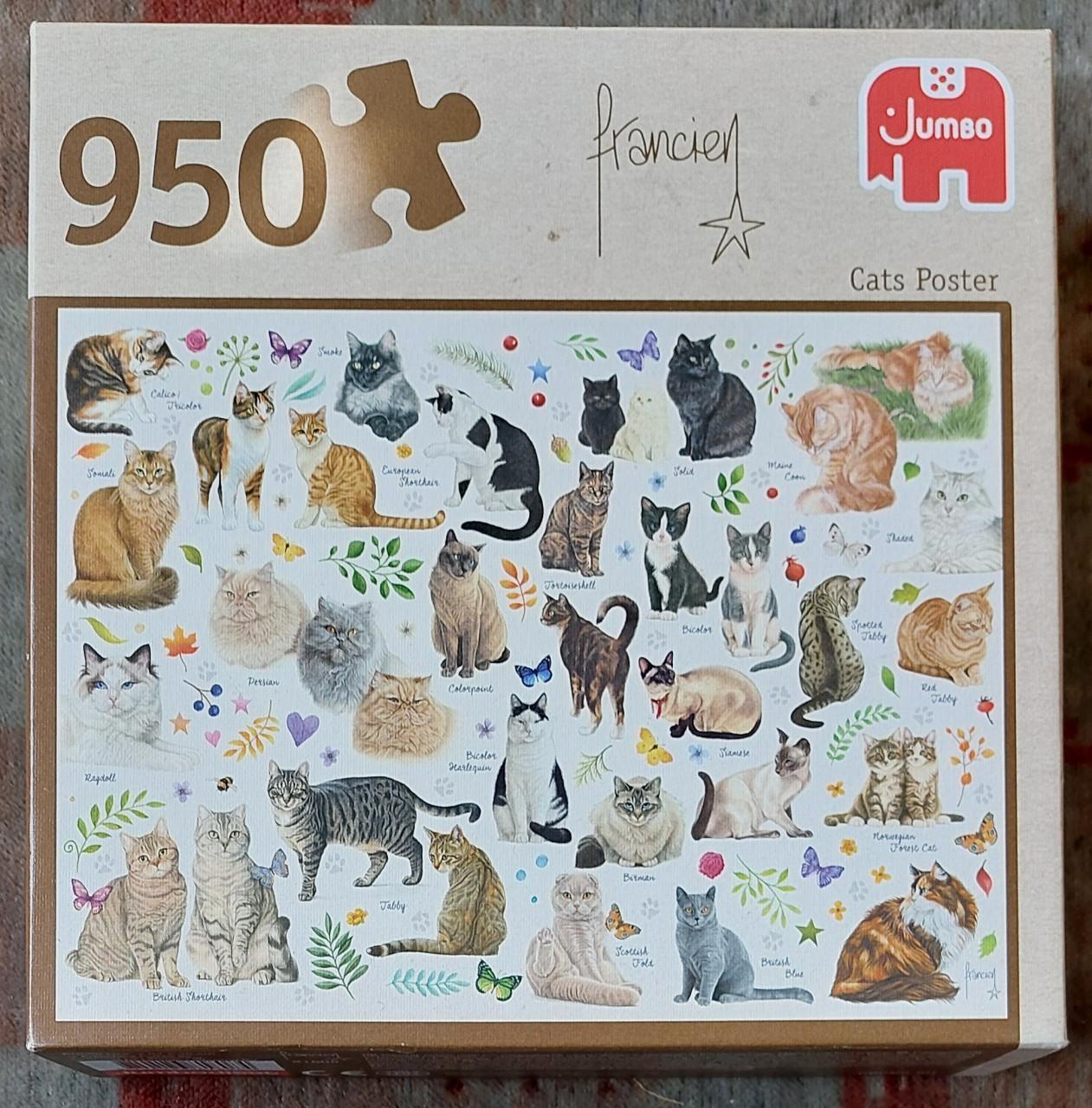 Cats Poster 950 stuks