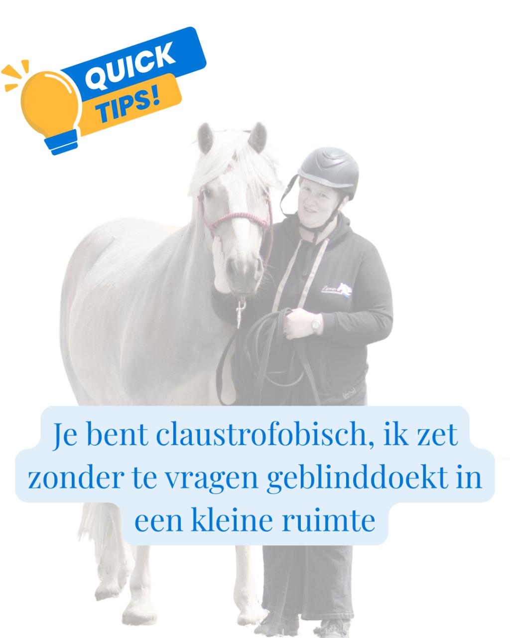 Wie heeft er hulp nodig, jij of je paard?!