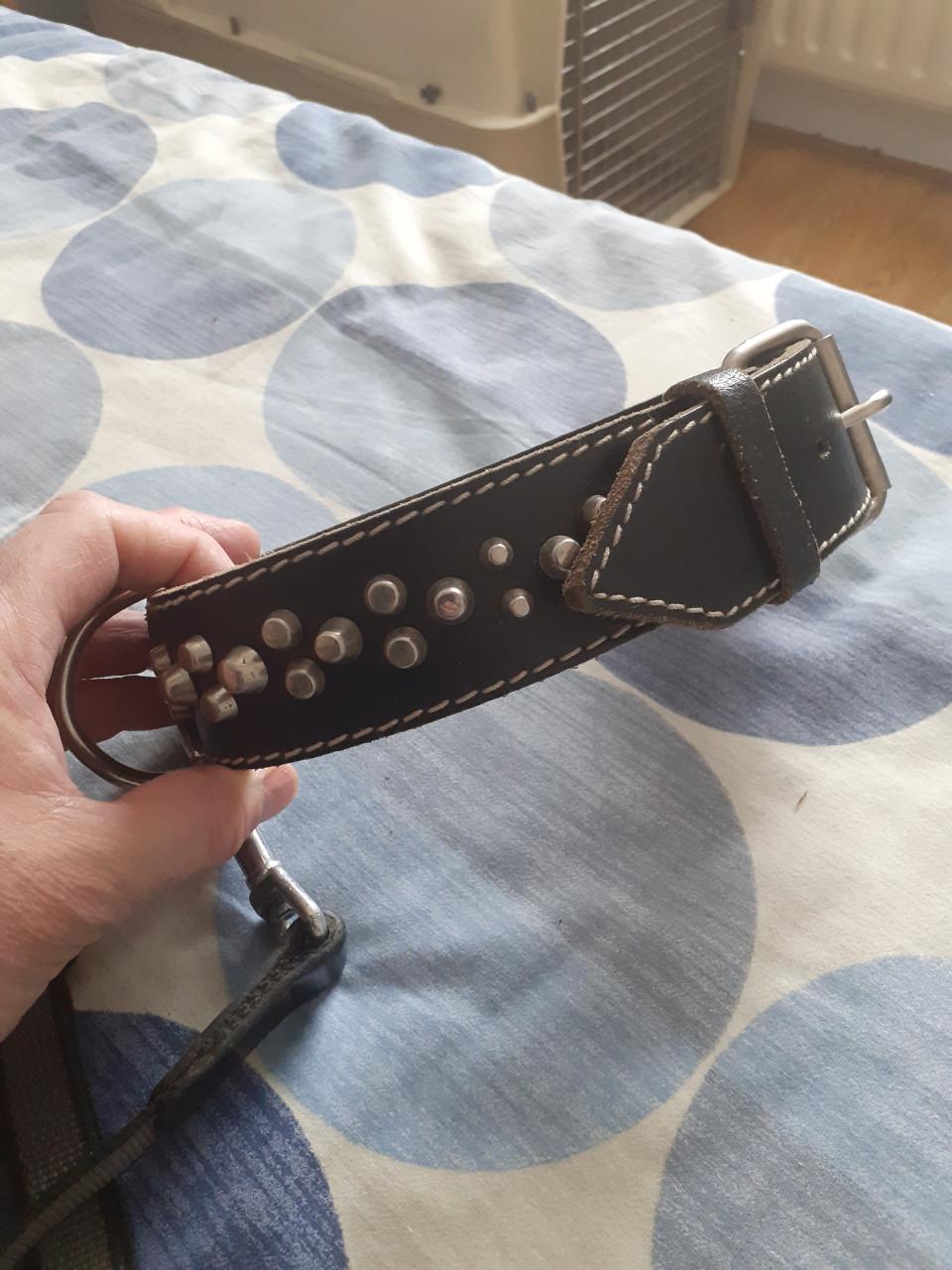 Halsband  en rollijn