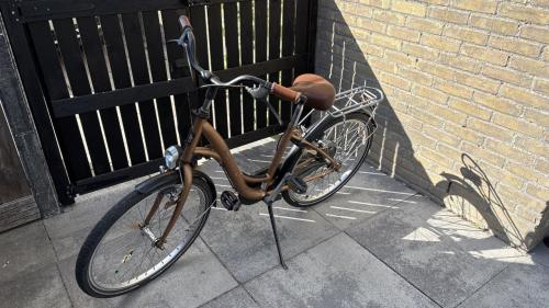 Batavus Chiara 24 inch