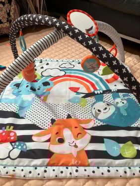 Fisher-Price speelkleed / BabyGym