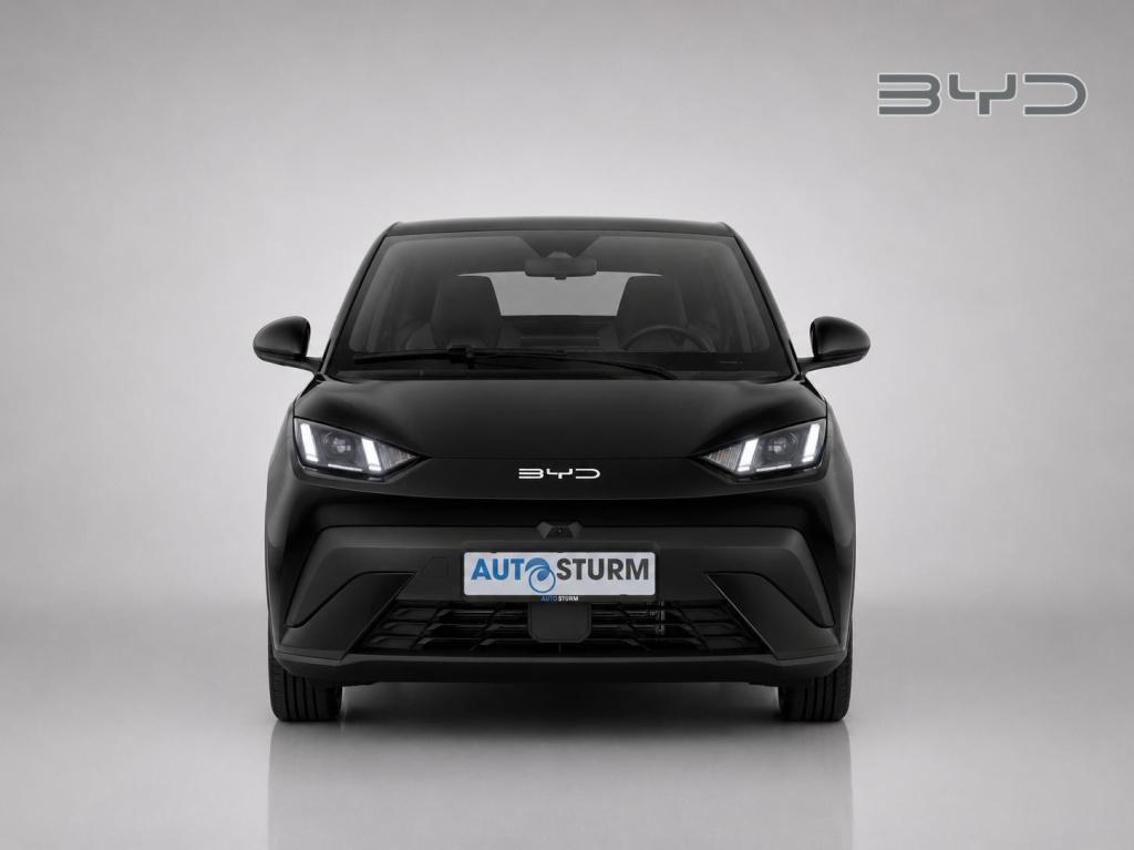 Byd Dolphin Surf comfort 43 kwh