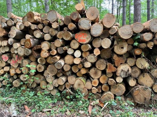 Boomstammen/Haardhout/Brandhout/Kachelhout Eik-Beuk-Es-Berk