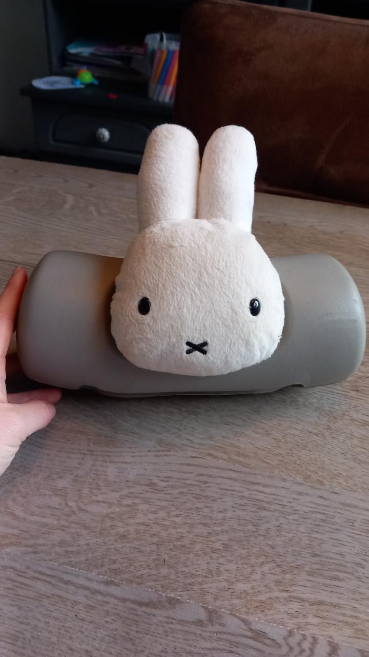 Yepp thule voorzitje bruin