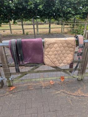 Paarden spullen singels, dekjes