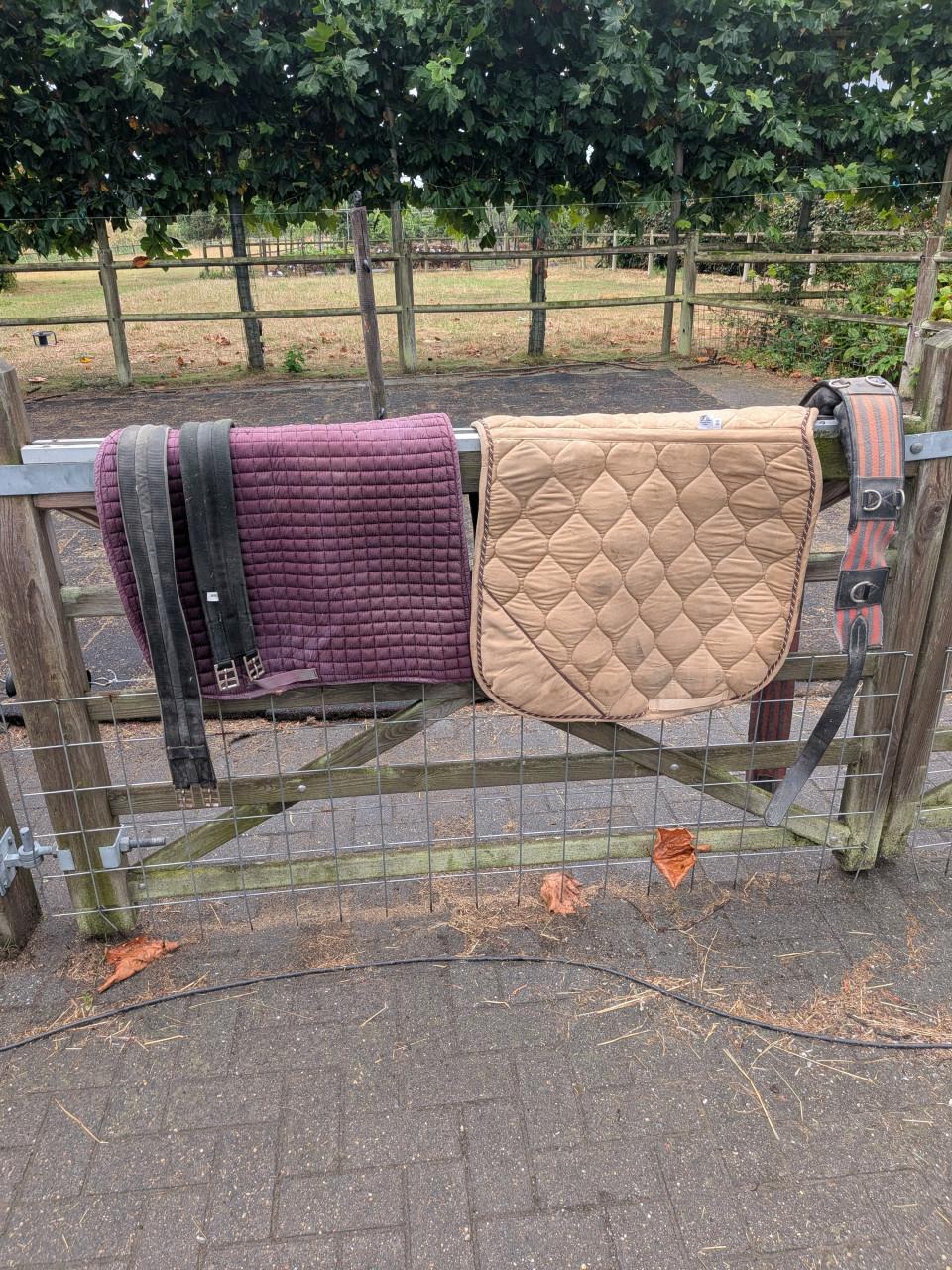 Paarden spullen singels, dekjes
