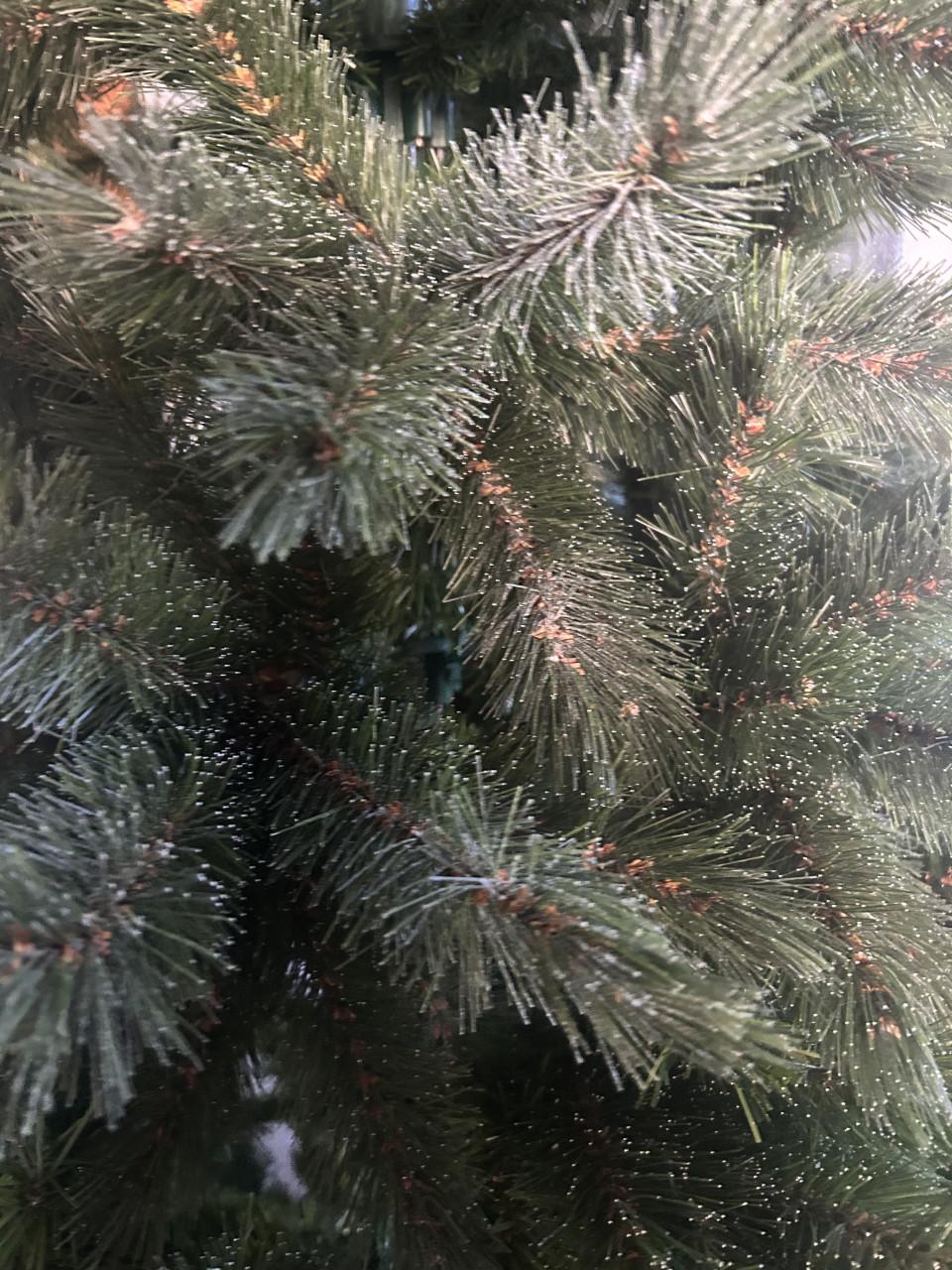 Kerstboom 2.00 hoog , afkomstig vd Intratuin Zeer mooi!