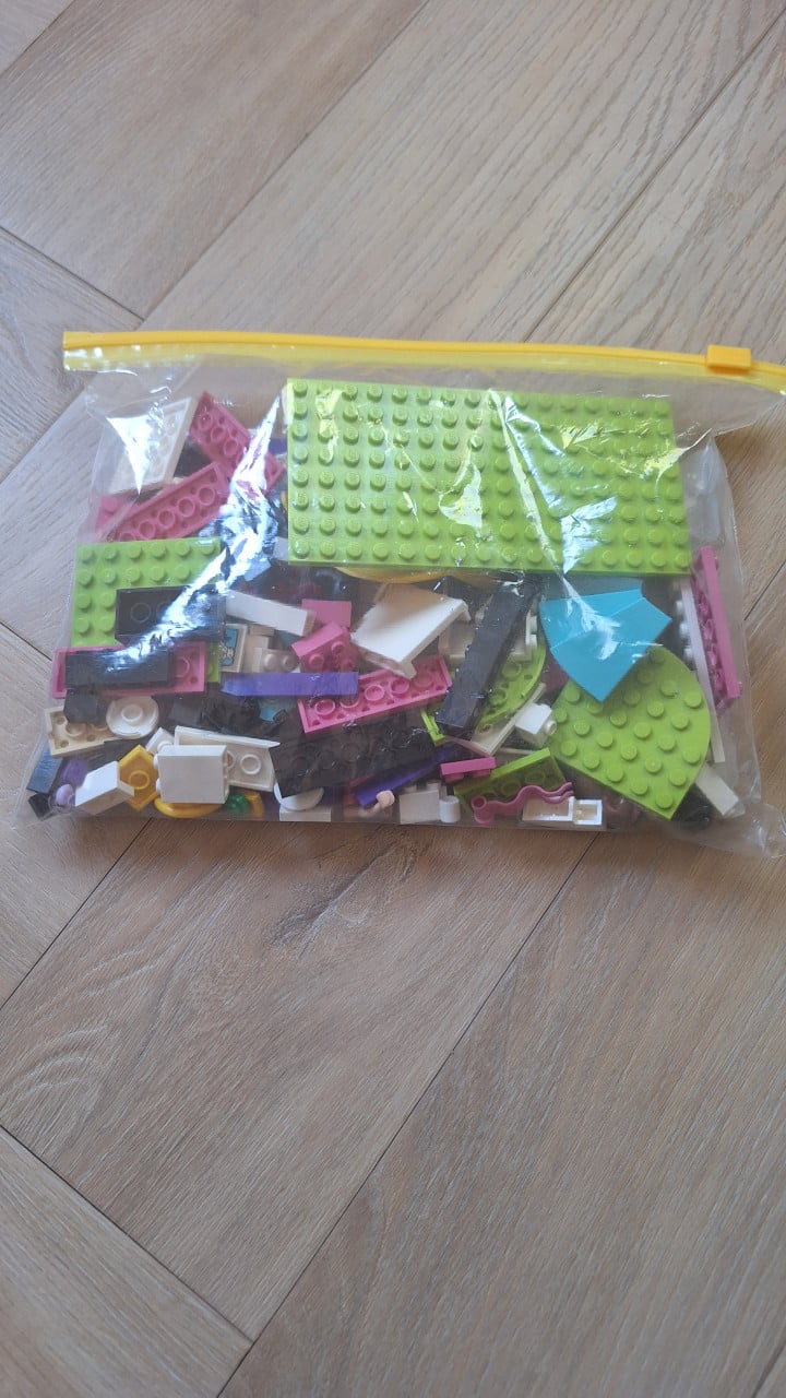 Lego friends Puppy kampioenschap (41300)