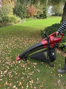 Bladblazer Einhell RG EL 2700 E