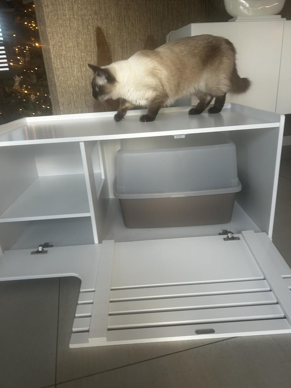 Kattenbak kast met kattenbak