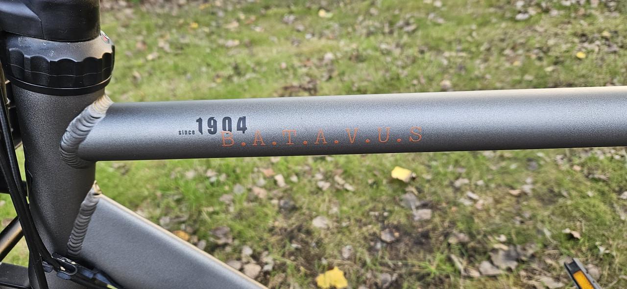Batavus Block  Buster Herenfiets