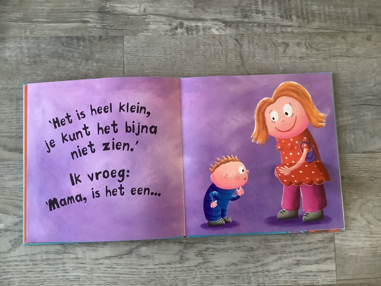 Boek: Wat zit er in je buik mama?