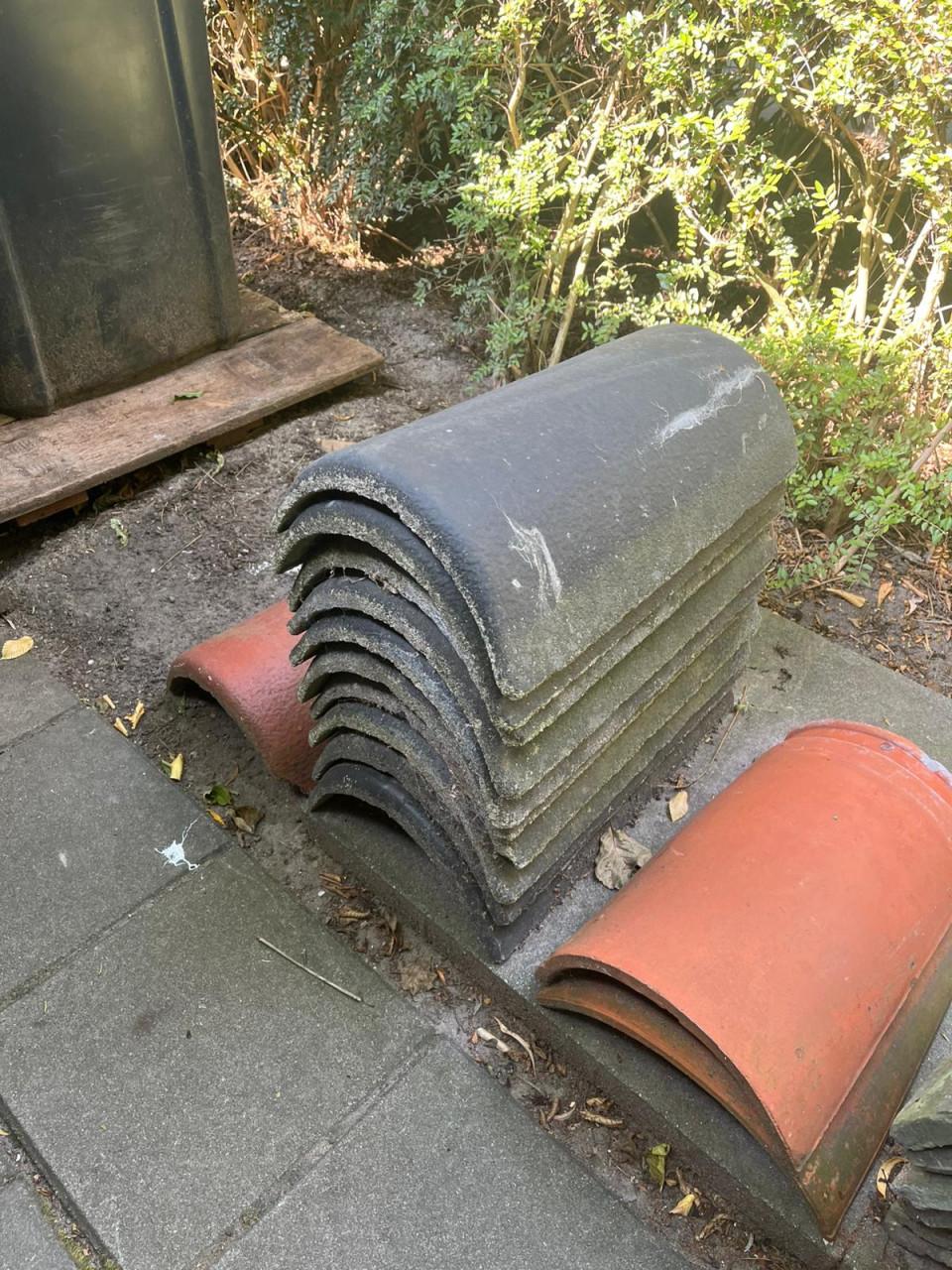 Nokvorsten (diverse types)