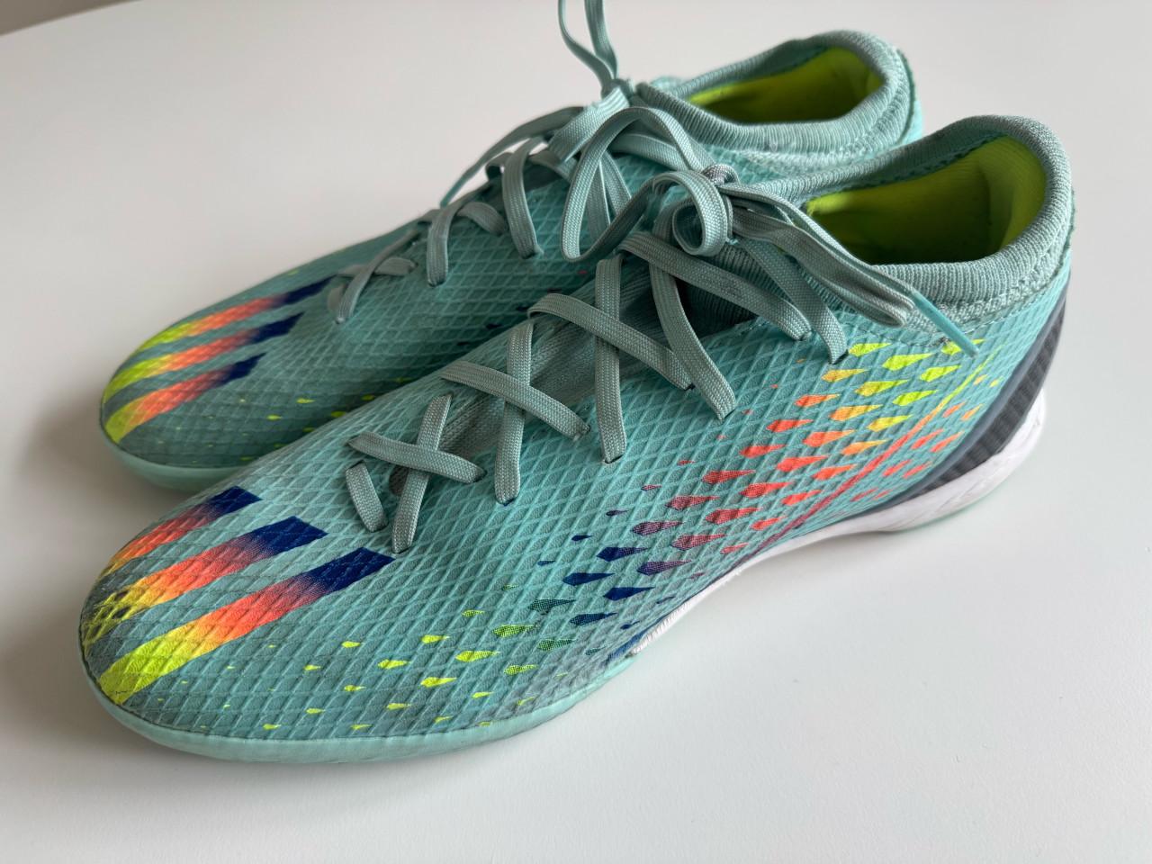 Zaal of gym schoenen maat 45,5
