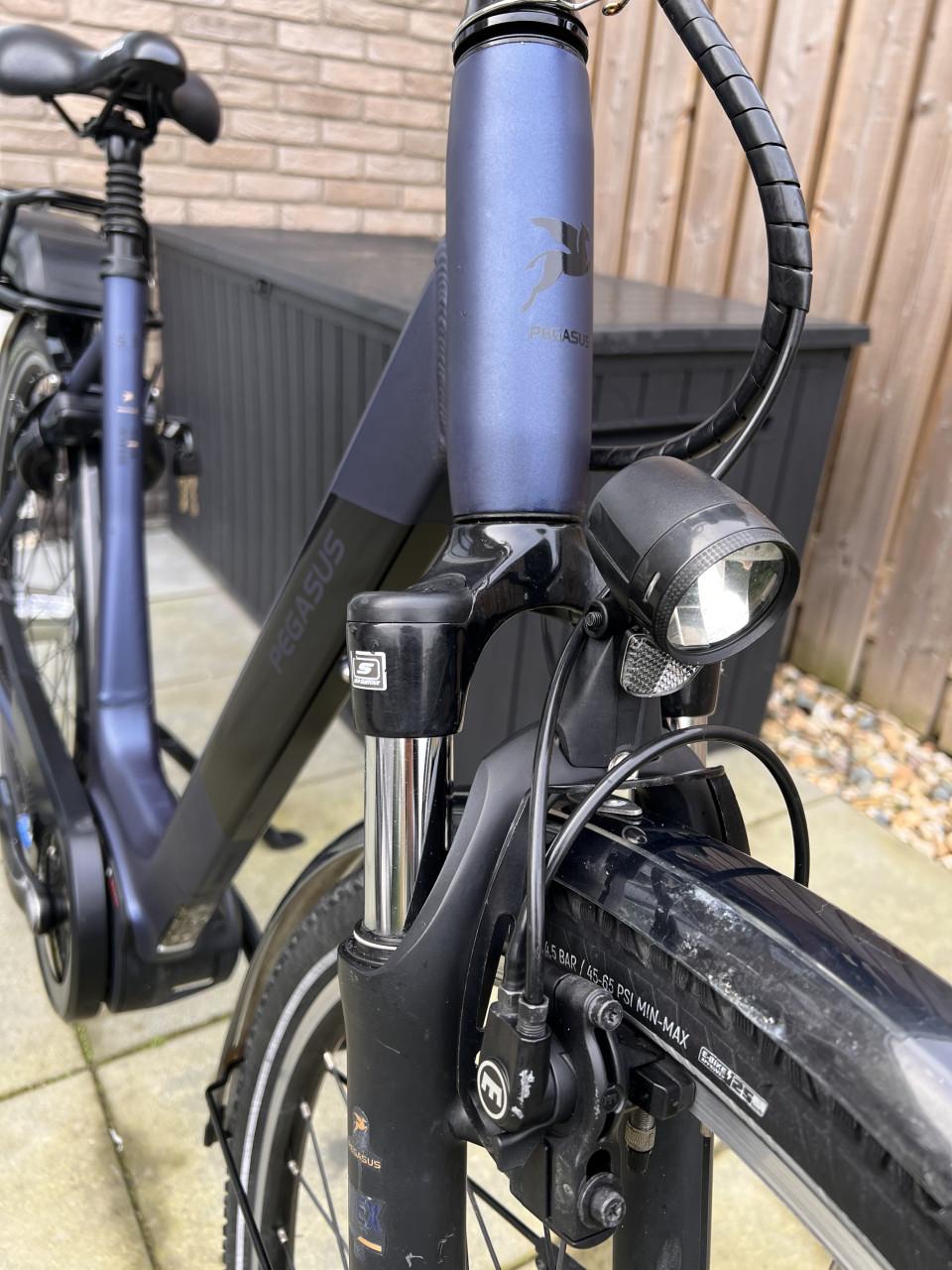 Pegasus Siena E7F Plus Belt