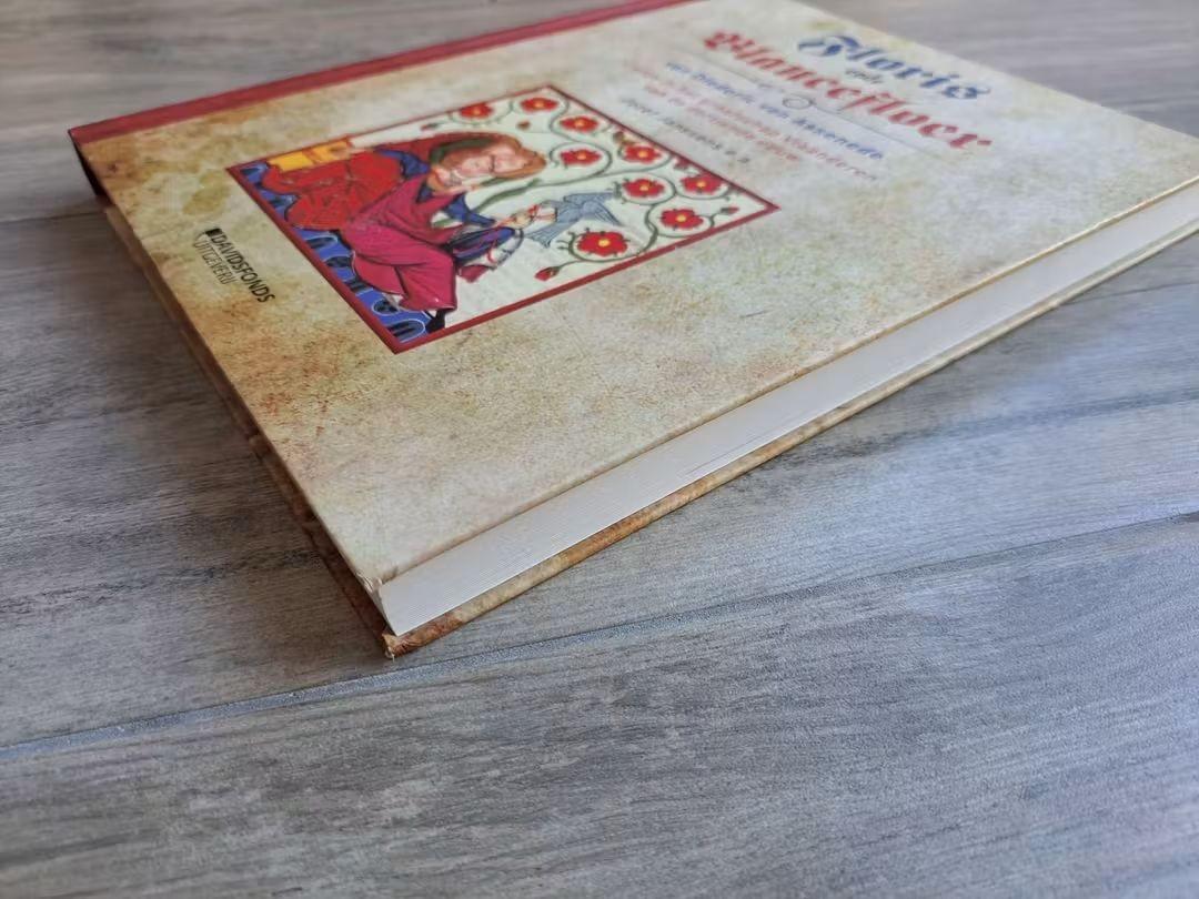 Floris en de Blancefloer van Diederic van Assende  Liefde in de graafschap