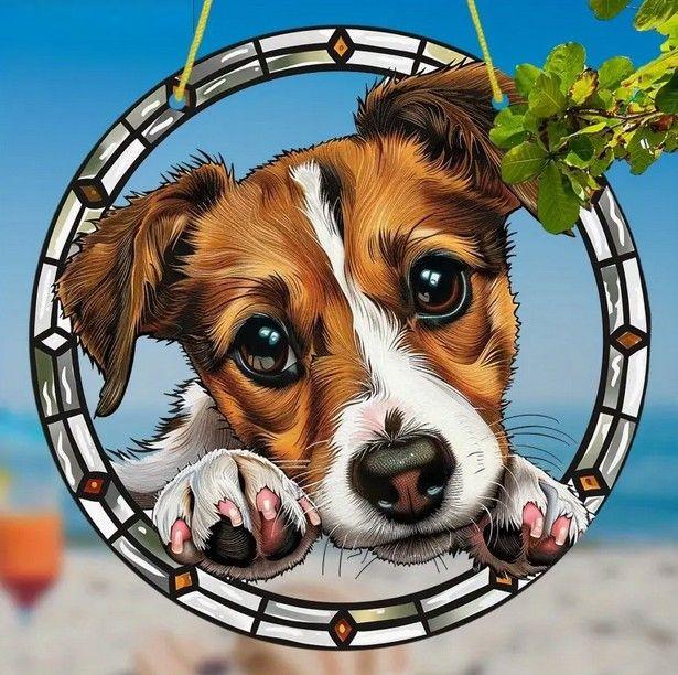 Raamhanger Jack russel